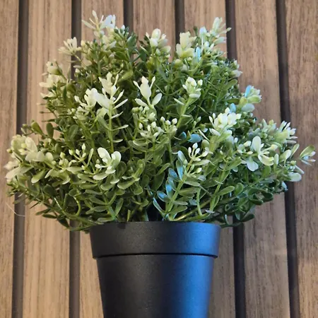 Le Stella Hyper Centre A 10 Minutes Appartement