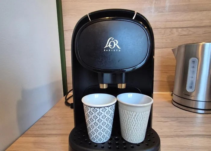 Le Stella Hyper Centre A 10 Minutes Apartman *