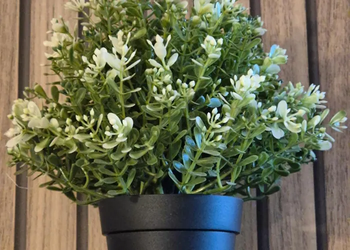 Le Stella Hyper Centre A 10 Minutes Apartman